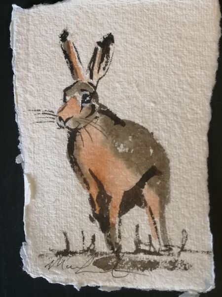 hare four