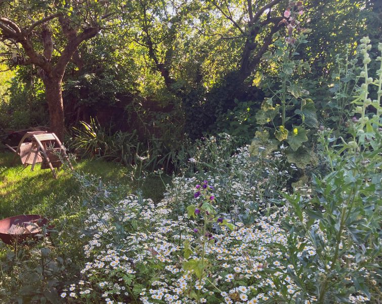 garden studio