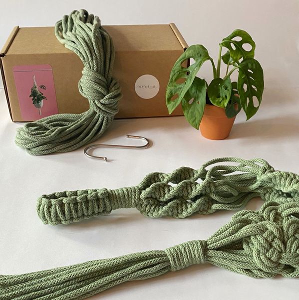 Eucalyptus Craft Kit