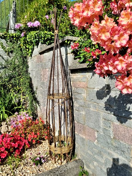 Ideal for climbing plants