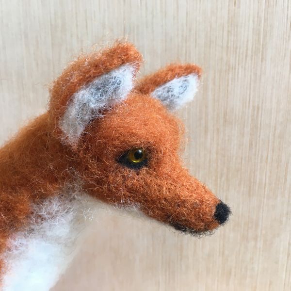 Sample Fox made by Tutor