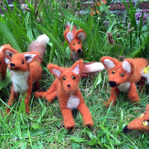 Student's foxes