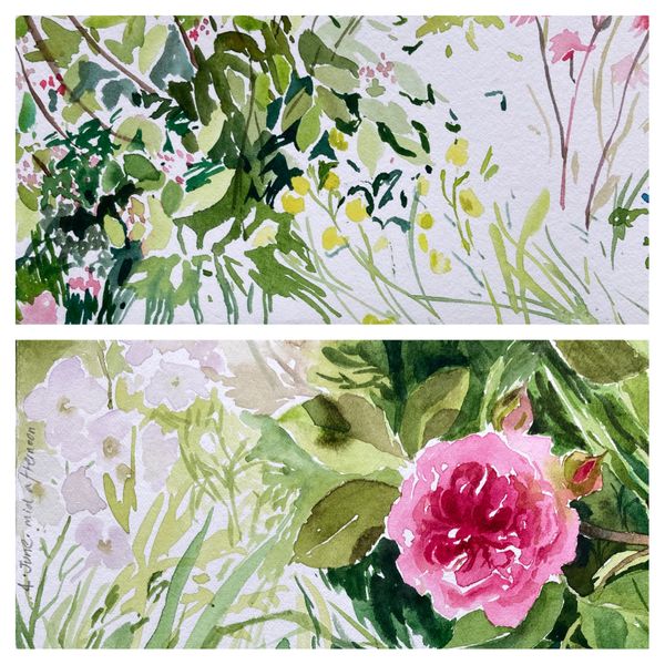 June Garden Watercolours