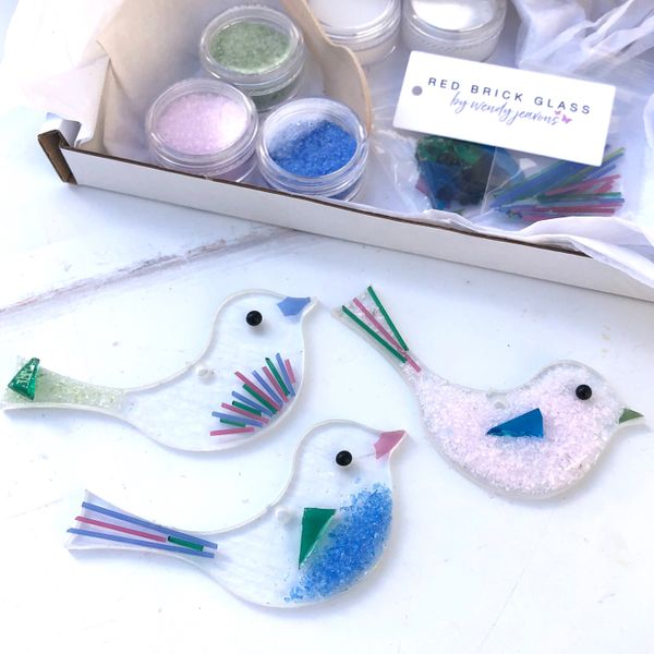 Fused glass paradise bird kit
