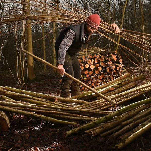 Coppicing in Voltaire's Wood