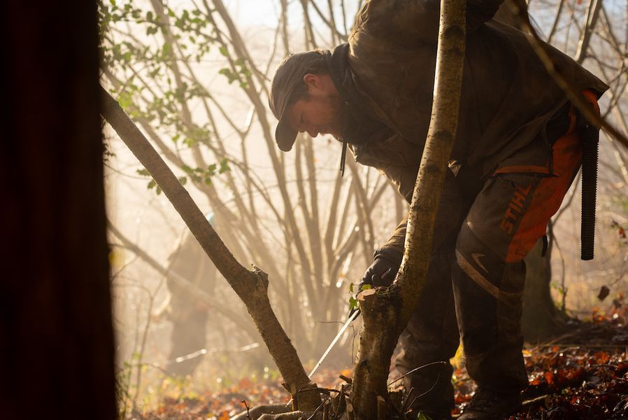 Coppicing in mid-winter
