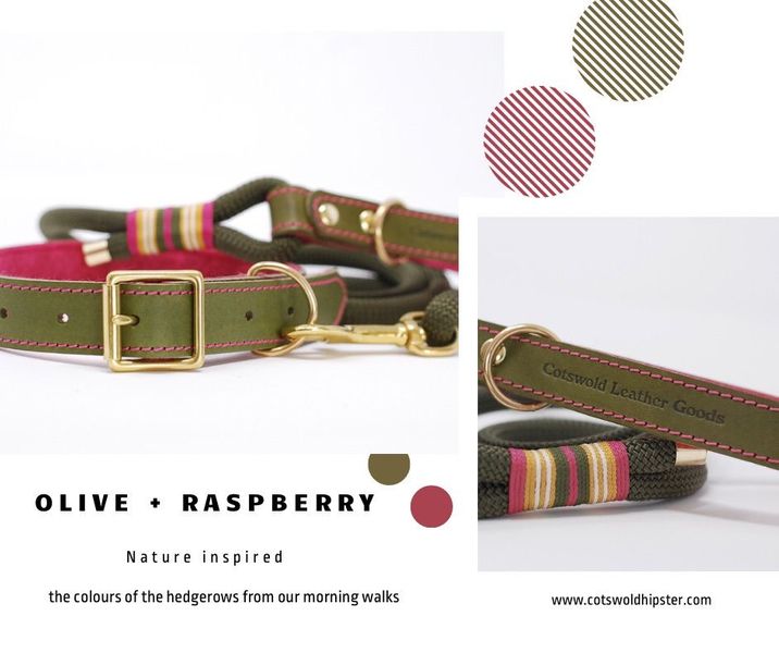 Olive & raspberry coloured dog collar