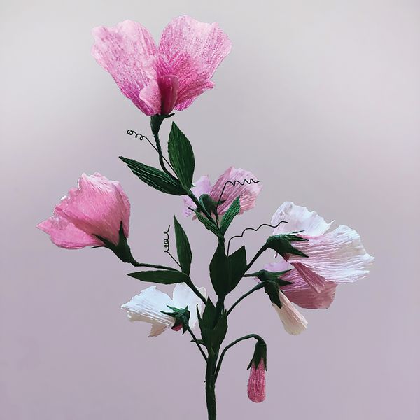 Bergin & Bath Paper flower kit - Sweet Pea, Finished bouquet
