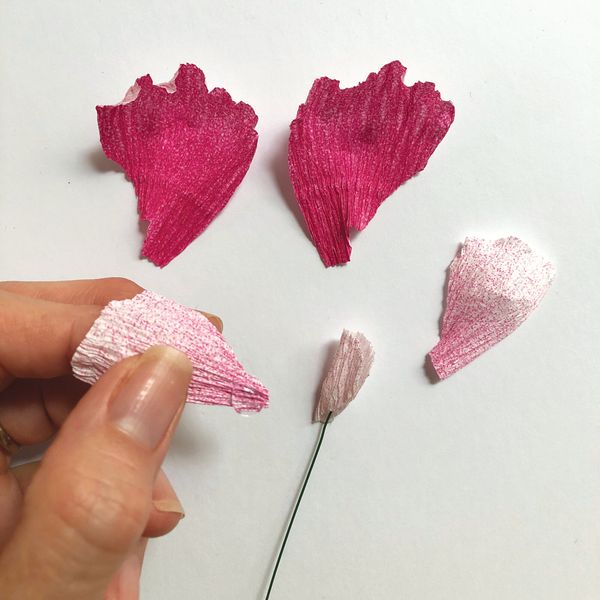 Bergin & Bath Paper flower kit - Sweet Pea, Making flowers
