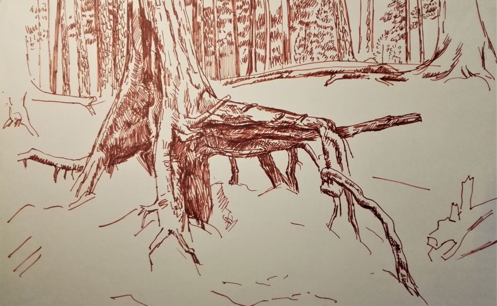 Learn how to draw and paint trees at online art course with artist Raya Brown