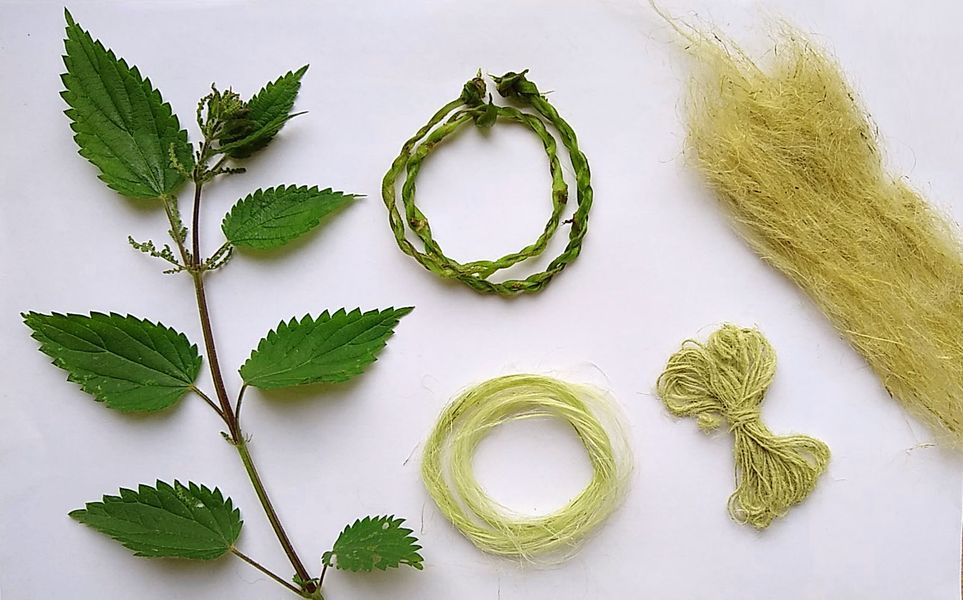 Nettle plant, Nettle Fibre, Nettle string, Nettle Yarn