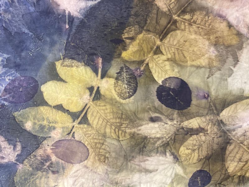 Silk dyed with weld, logwood and iron, printed with various leaves [detail]