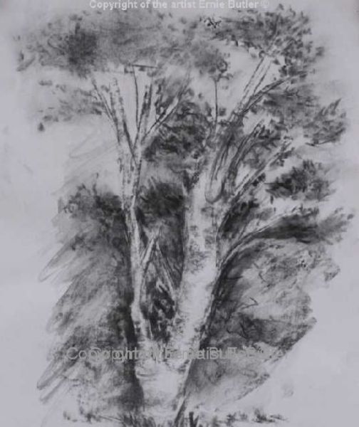 Tree charcoal sketch