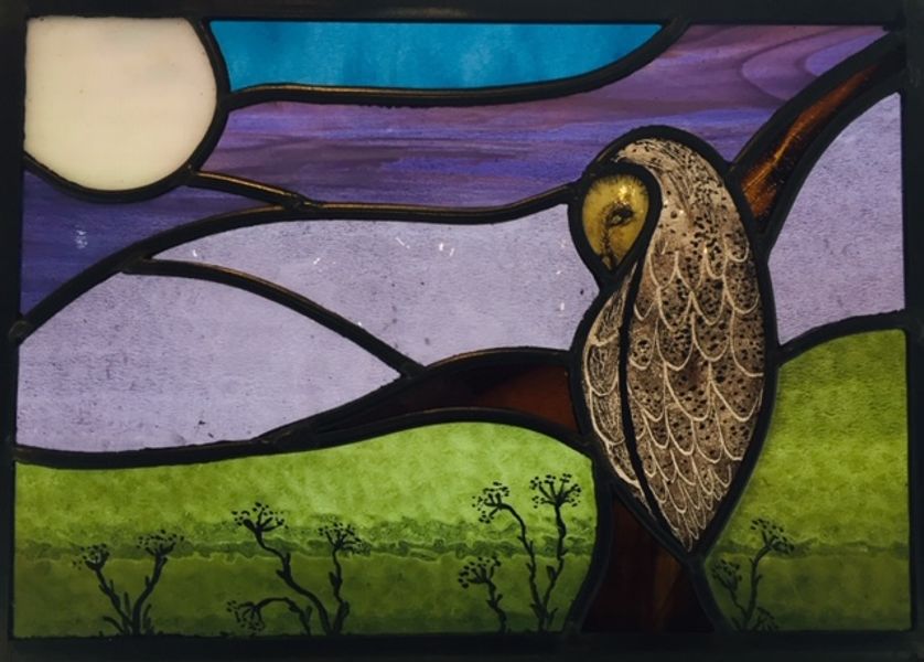 Owl in moonlight

