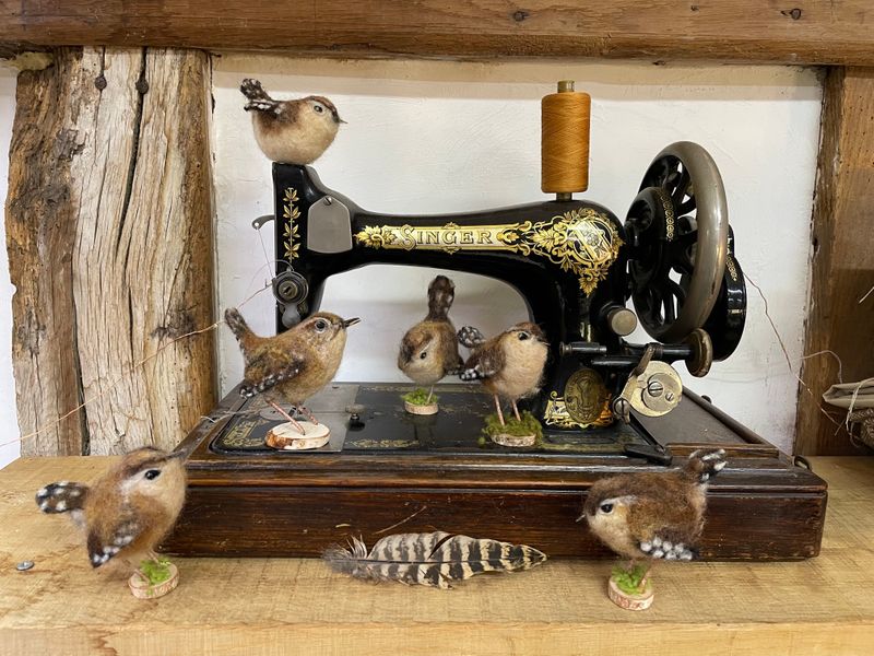 A fabulous chime of Wrens emerged from The Oast Studio workshop, Hartfield.