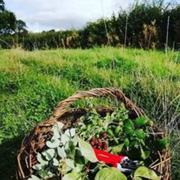 Hedgerow Basket