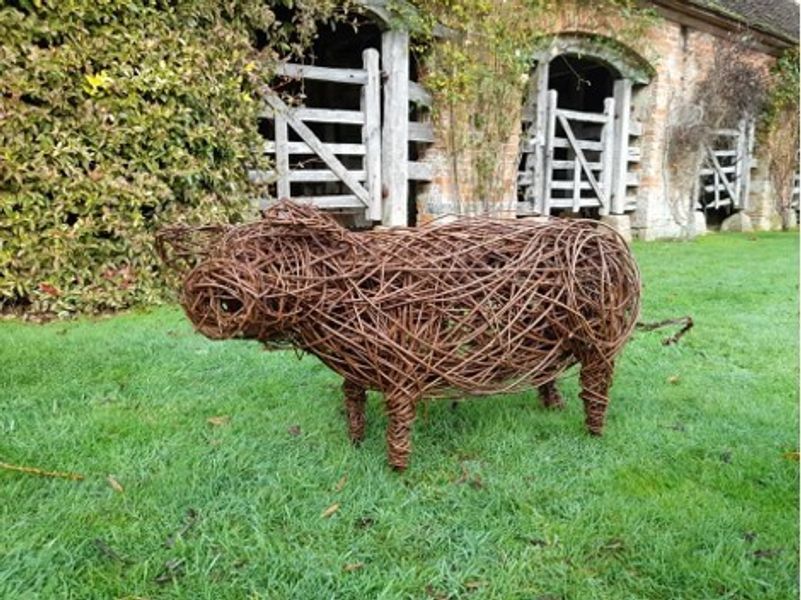 Willow Pig