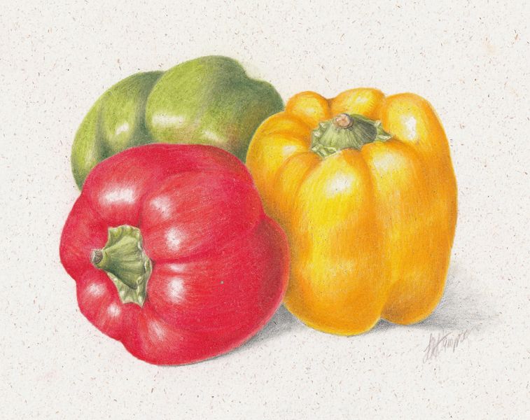 'Peppers' tutorial with Linda Hampson on white