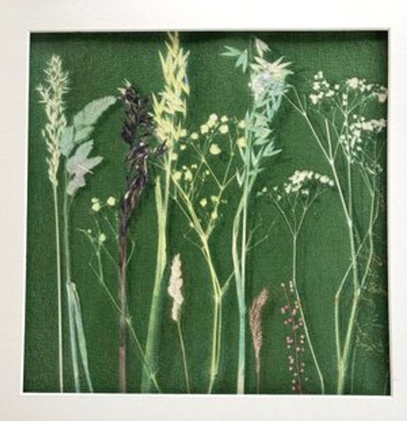 You'll use wonderful natural materials to make some beautiful prints