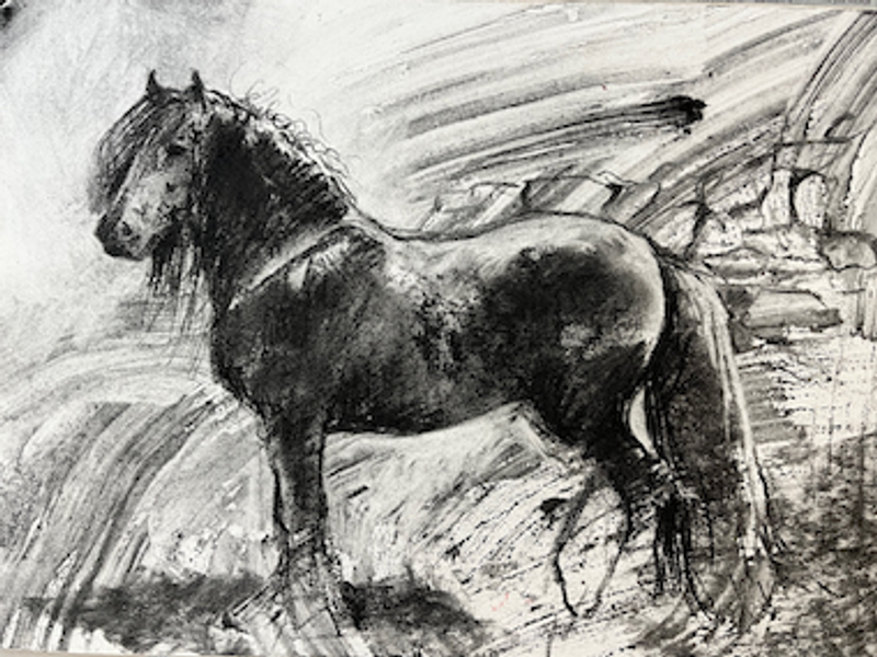 Capture the characteristics of a pony through drawing with artist Alex Jakob-Whitworth