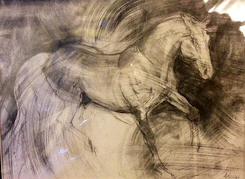 Use charcoal with expression to capture movement and character