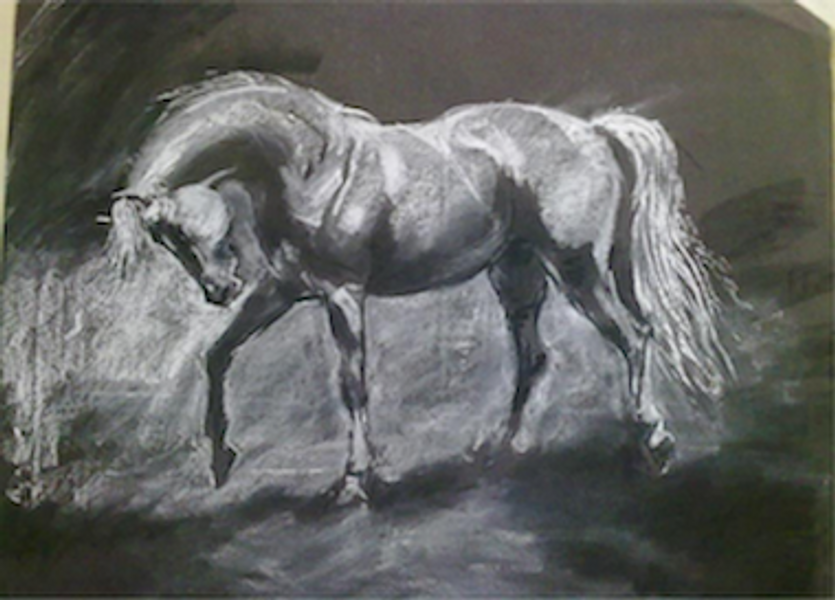 Describe ponies with light and shadow using charcoal and chalk