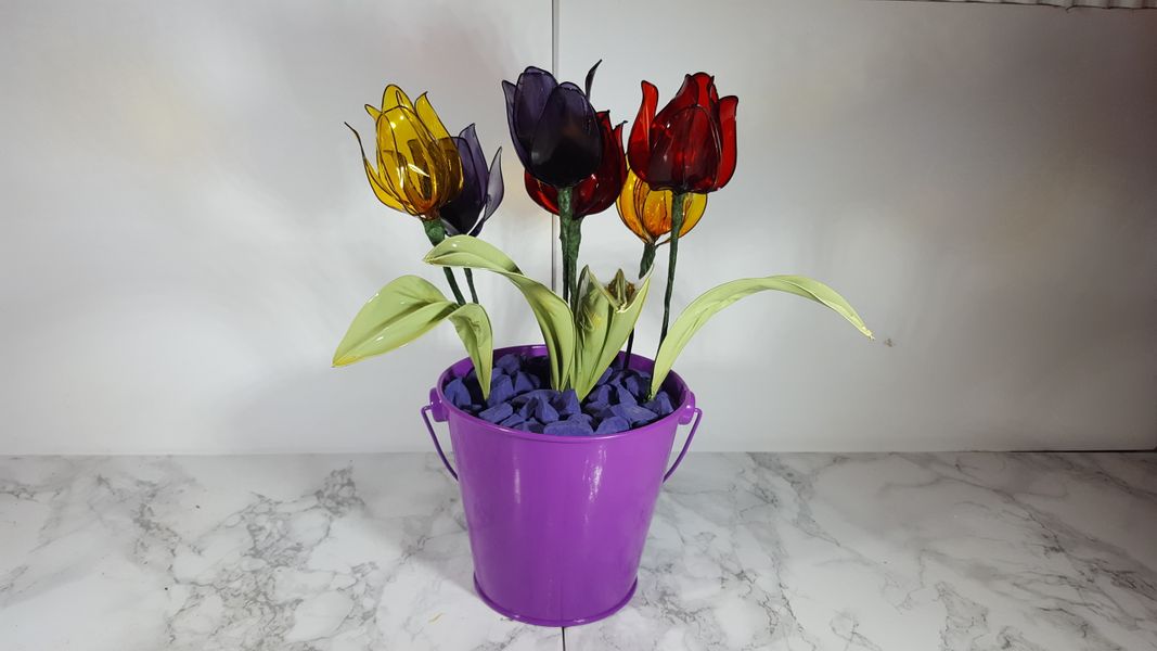A pail of tulips