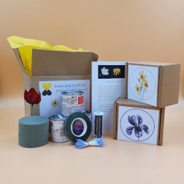 The contents of the Inion Arts Tulip Kit.