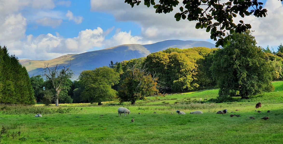 View from Higham Hall