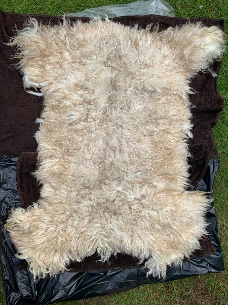Mule fleece rug made by workshop attendee