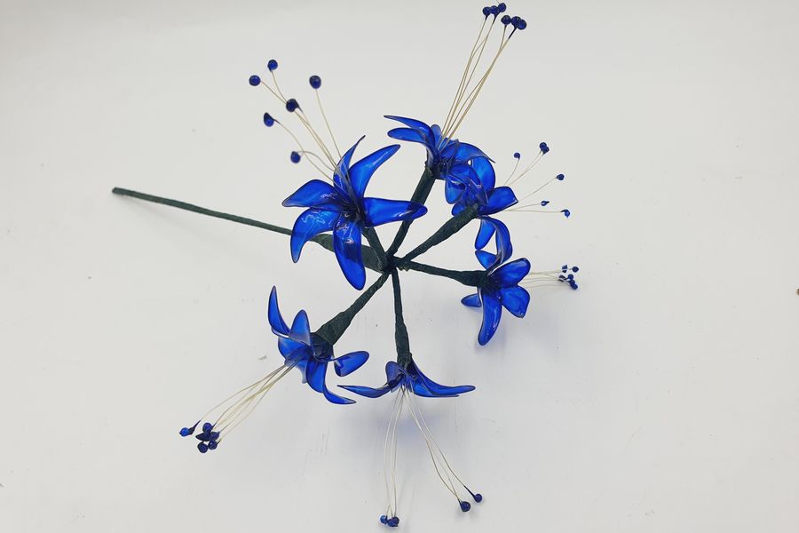 Hawaiian Blue is used for this fantasy Spider Lily