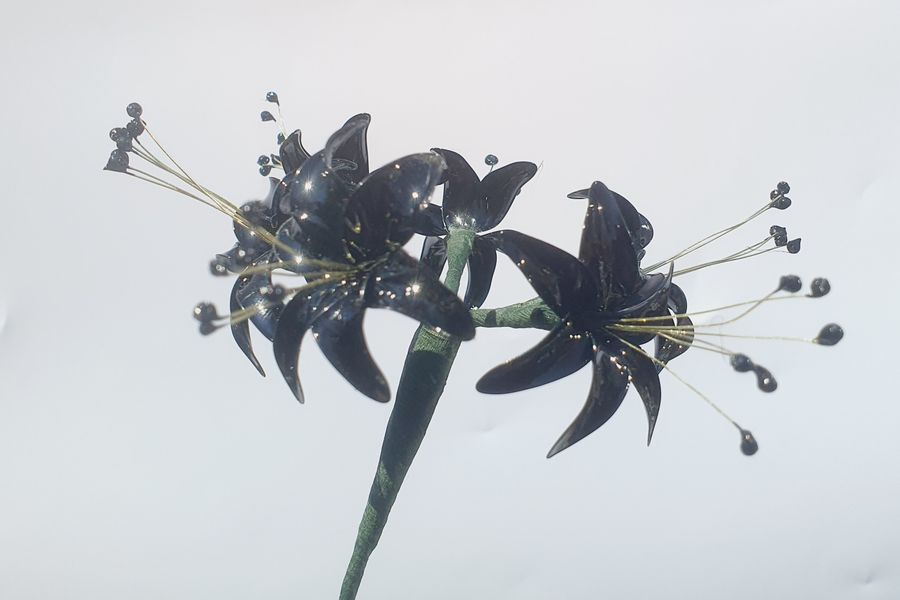 Try the Spider Lily in black - it looks superb!