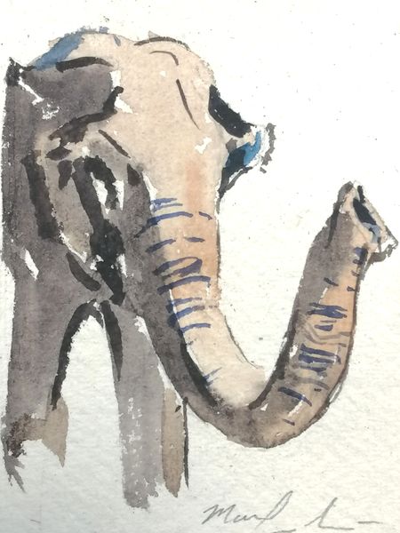Elephant Two