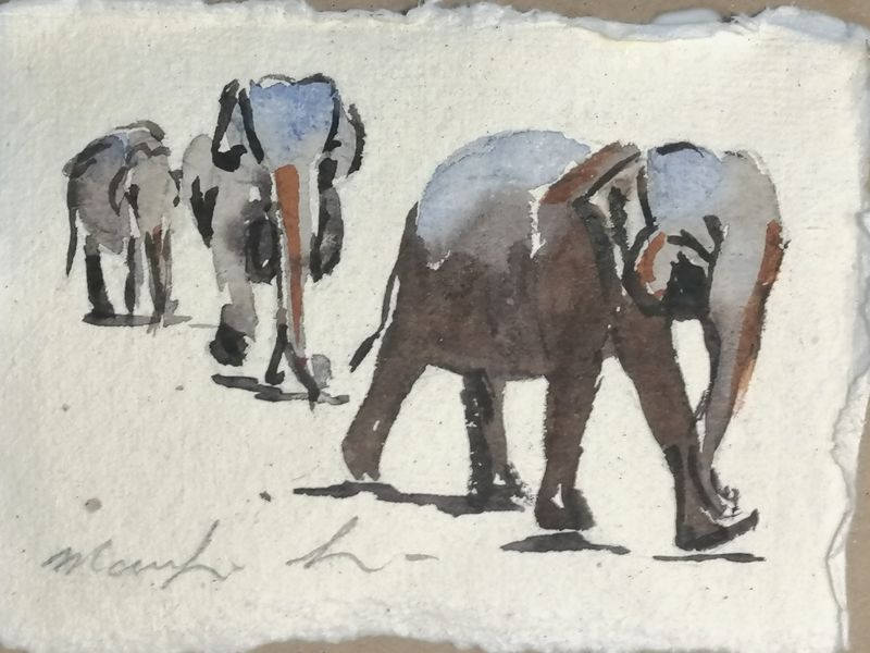 Elephants Three