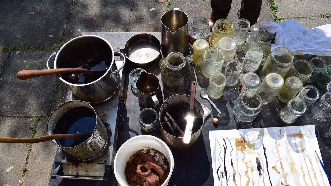 Inks and Ochres: an introduction to foraged colour at SAOG Studios