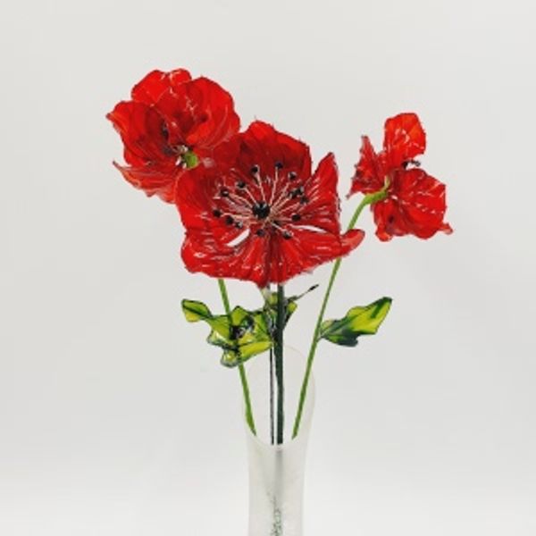 Three Poppies in a vase