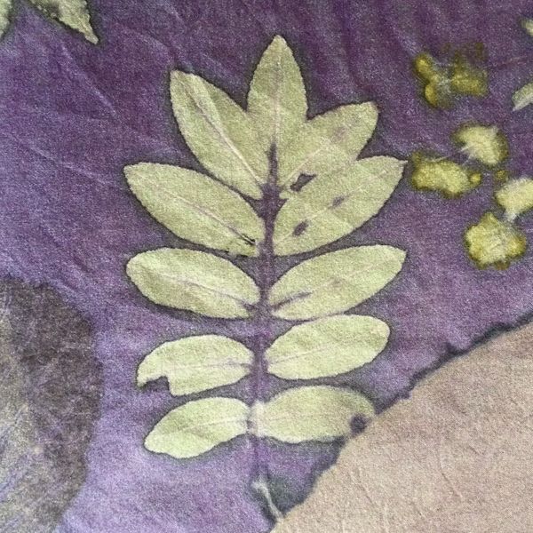 Eco-printed leaves with natural dyed background