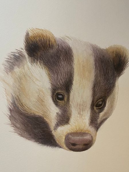 Badger