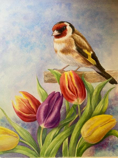 Goldfinch with  red and yellow tulips