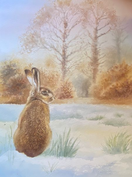 Hare in snowy landscape