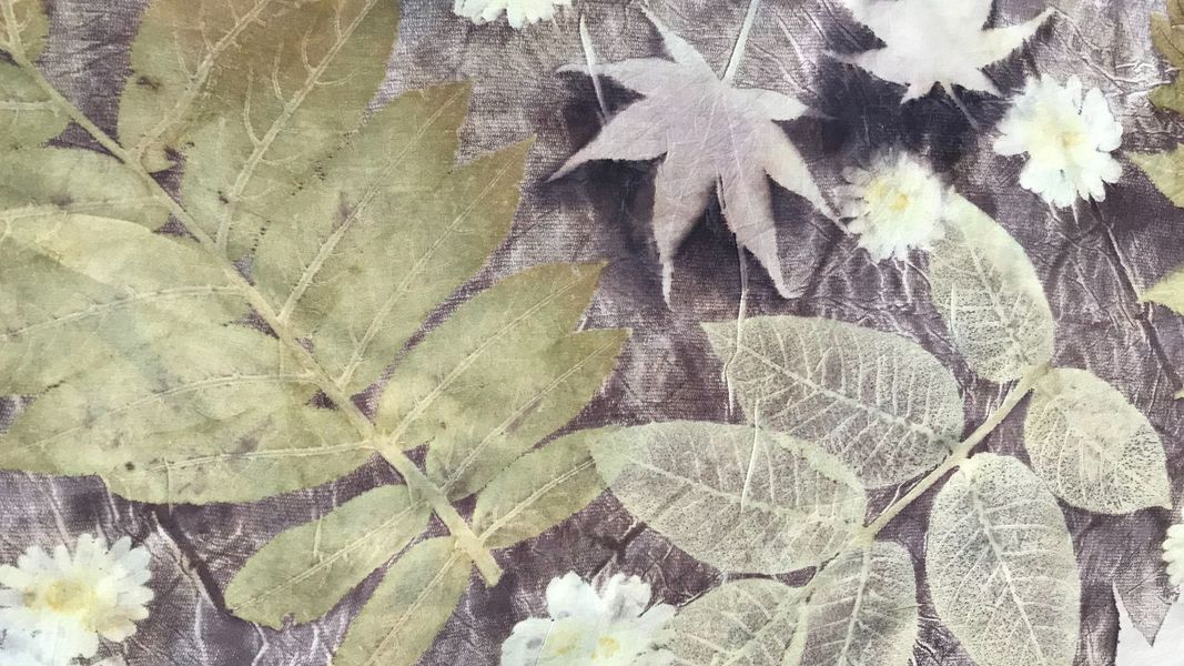Silk printed with various leaves, dyed with oak gall tannin and iron