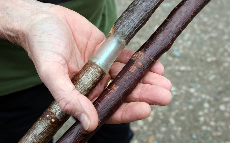 Stick and staff making - example joint