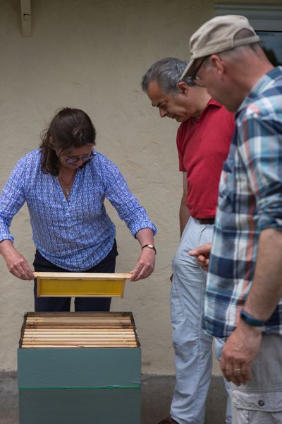 practicing hive inspections with an empty teaching hive