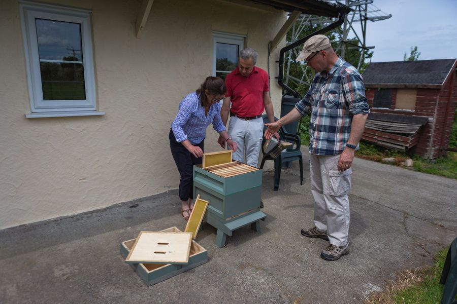 practicing hive inspections with an unoccupied teaching hive