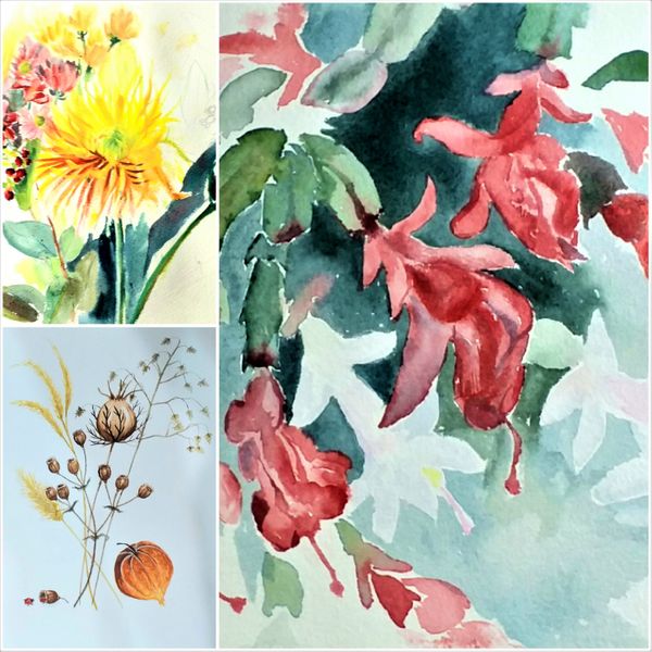 Botanical art course with live tuition