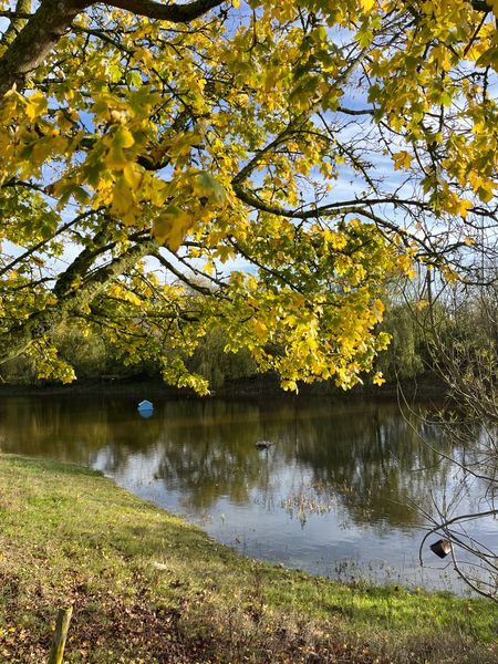 Course location by the pond