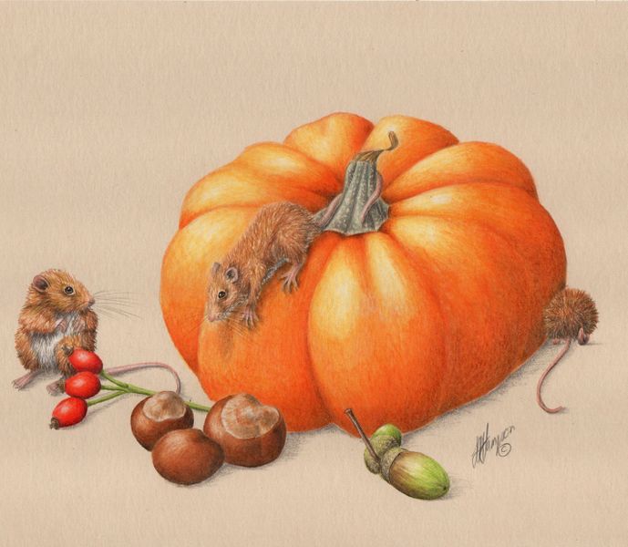 Pumpkin and Harvest Mice by Linda Hampson in coloured pencil