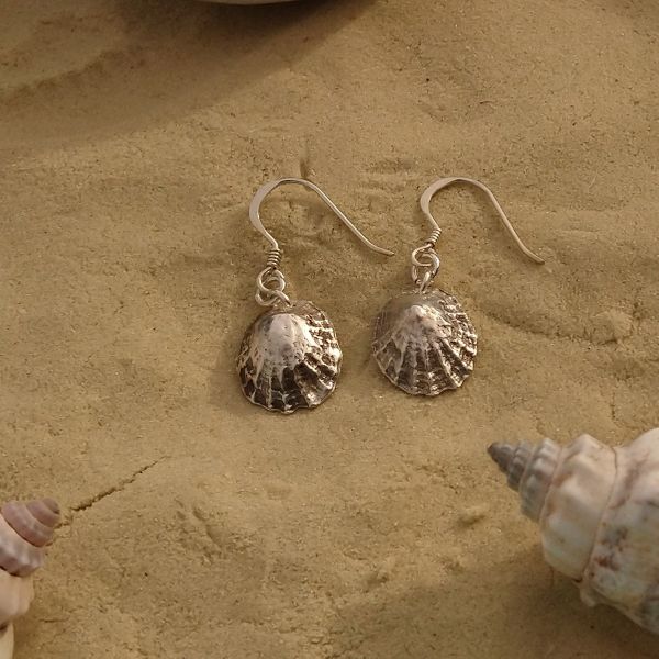 Sea Shell Earring