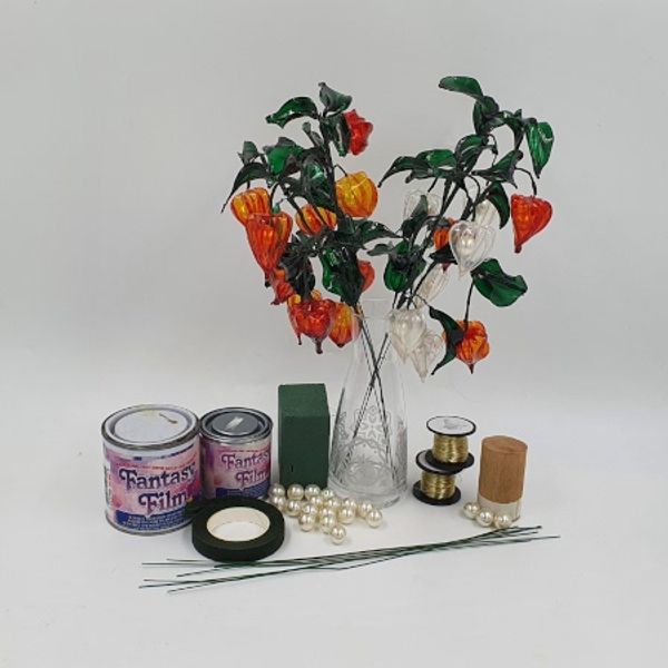 The contents of the Physalis kit