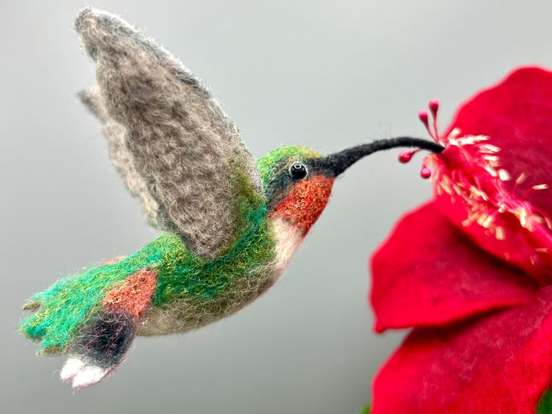 Hummingbird close up